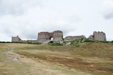 A Picture